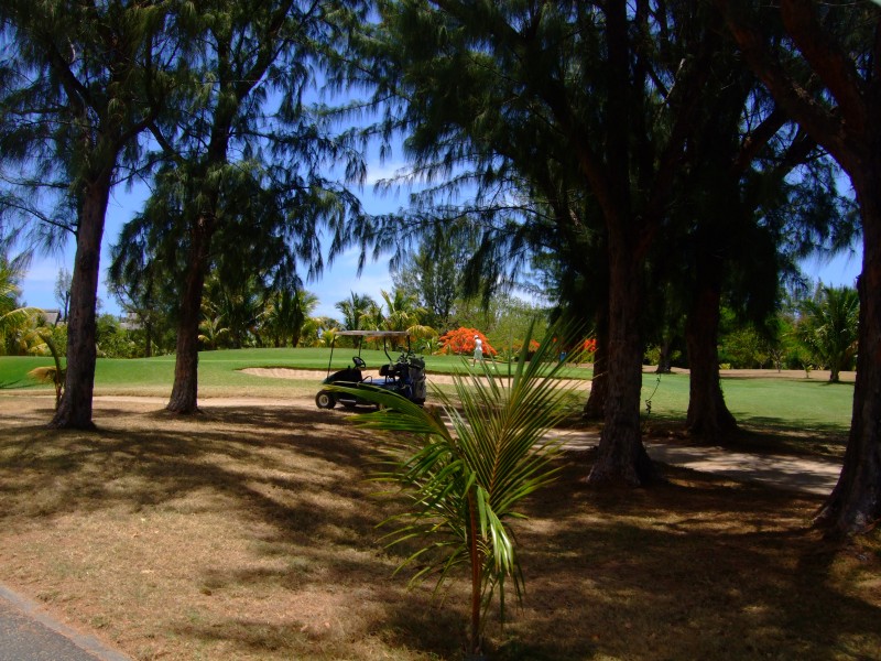 Mauritius 2010 - 0182 